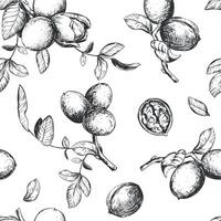 Seamless pattern of walnut branches. background with kernels, leaves and nut skin. Engraving style illustration. Design for packaging, wallpaper, kitchen textile. Hand drawn ink sketch. vector