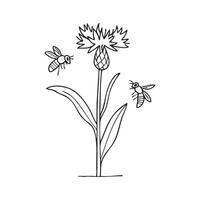 knapweed growing in a meadow with bees collecting nectar vector