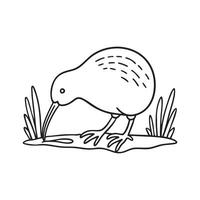 kiwi bird emerging from its burrow at night, exploring the forest floor vector