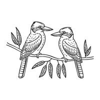 A pair of kookaburras perched on a branch in a eucalyptus forest. vector