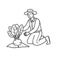 kohlrabi being pulled from the soil by a farmer vector