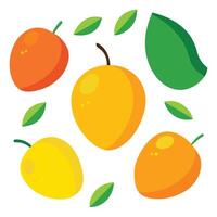 Colorful Illustration of various Fruits design design on a white background vector