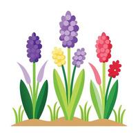 A group of colorful flowers on a white background vector
