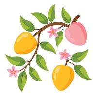 illustration of a peach tree with flowers vector