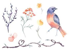 Bird orange and purple, vine branch form heart hand drawn watercolor isolated set. Bluebird, butterfly with flower and twig in botanical sketch hand drawn. Floral elements and bird for Valentine. vector