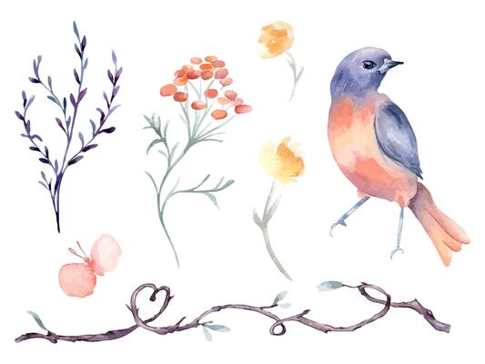 Bird orange and purple, vine branch form heart hand drawn watercolor isolated set. Bluebird, butterfly with flower and twig in botanical sketch hand drawn. Floral elements and bird for Valentine.