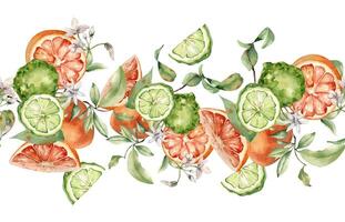 Grapefruit and bergamot citrus fruits with jasmine flower watercolor seamless border isolated. Hand drawn summer plants with bright orange green peel in botanical sketch for package products, textile. vector