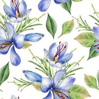 Saffron flowers watercolor in seamless pattern isolated on white. Crocus sativus on repeated botany background hand drawn. Spring blue plants leaves petals painted for design textile, floral package vector