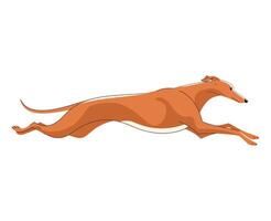 Greyhound dog jumping icon. Silhouette of a leaping greyhound, isolated on white. Sleek and dynamic design perfect for racing, pet, or athletic vector