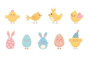 Cute Easter chicks, bunny eggs and chicks eggs set on white background. vector