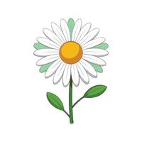 A daisy with green leaves on a white background vector