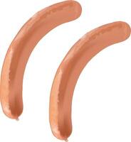 Two sausages are shown on a white background vector