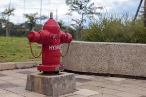Red Fire Hydrant in Public Park with Safety Chains photo