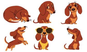 A set of flat illustrations in a simple children's style. Cute dachshunds in different poses. Happy dogs sleeping and playing vector