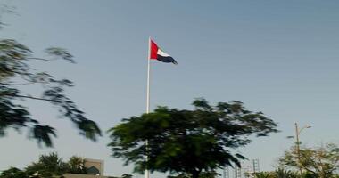 The flag of Dubai is flying over palm trees against a clear blue sky, from a moving car window video