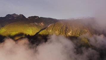 Gentle hills overgrown with spruce forest and illuminated by sunlight from a bird's eye view from a drone flying above the clouds. Austria, Alps video