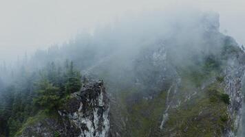 All-round aerial from a drone, a view of the steep rocky mountains, overgrown with spruce forest and a small settlement at the foot of the mountain video