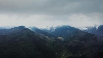 Vertical panning from a drone, a view of a mountain valley with a river in a lowland at the foot of gently sloping mountains overgrown with a dense spruce forest. Rocky peaks covered with clouds video