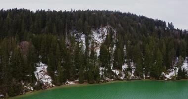 A hill, densely overgrown with fir trees and covered with snow, located on the banks of the river. filming from a bird's eye view, from a drone , from the side of the river. video