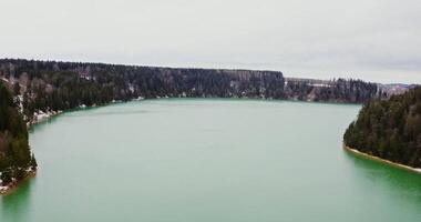 Vertical panning from a quadcopter, a view of a wide river flowing among spruce forests and snow-covered fields. video