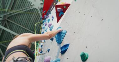 A young athlete of Euromean appearance, wearing a safety belt and wearing rubberized sports shoes, gently climbs up the climbing wall, holding on to the artificial stones on the wall with her hands video