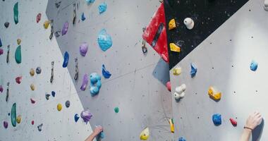 A young couple of European appearance, dressed in sportswear, with safety belts fixed at the waist, climb up the climbing wall, grabbing artificial stones video