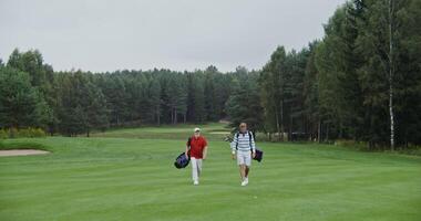 Two men carry golf gear in bags on their backs, walking on a neatly cropped playground and talking to each other. Business meeting on the golf course during the game video