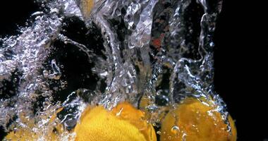 Lemons falling into water on a black background, slow motion close-up video