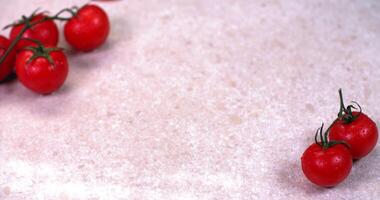 Juicy ripe tomatoes on a branch, wet after washing fall on the table in slow motion video
