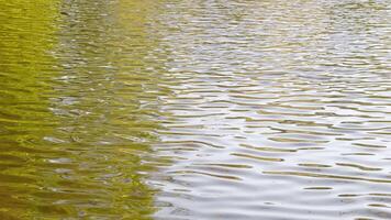 small ripples on the surface of the lake with a reflection of white clouds and green trees video
