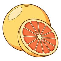 grapefruit white background, illustration vector