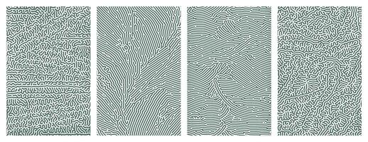 Pack of green abstract organic line turing patterns designs for backgrounds vector