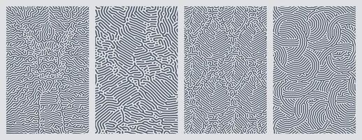 A set collection of abstract organic line turing patterns perfect for backgrounds design vector