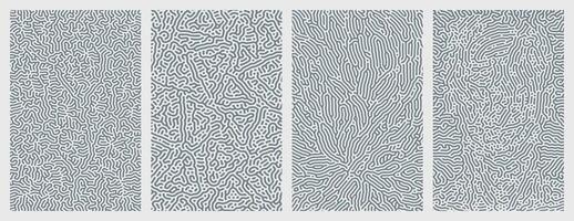 A pack of organic Turing abstract line patterns for background design vector