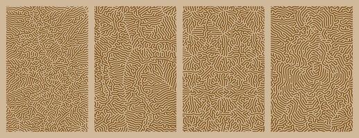 A set brown collection of abstract organic line turing patterns perfect for backgrounds vector