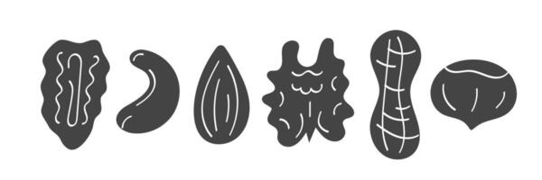Hand drawn nuts illustration. Doodle forms in black on white background vector