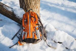 An orange backpack is resting carefully against a tall, sturdy tree in the midst of a vast, snowy landscape, helping to create a truly beautiful and serene winter wonderland experience photo