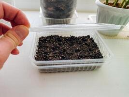 A person is carefully holding a plastic container that is filled with soil, indicating an interest in gardening or planting activities, potentially for growing plants or vegetables photo