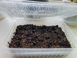 The process of Seed Germination can effectively take place in a Plastic Container equipped with a Humidity Lid, making it useful for optimizing plant growth indoors photo