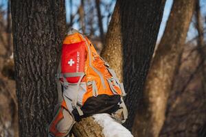 An orange backpack containing a wellequipped first aid kit is leaning casually against a sturdy tree, ready for any adventure that may come its way during outdoor activities photo