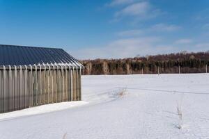 In the middle of a vast snowcovered field, a large, rustic barn stands out prominently, surrounded by a stunningly picturesque winter landscape that is blanketed in soft, fluffy white snow photo