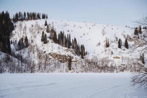 A picturesque snowy mountain rises majestically, adorned with tall trees along its rugged sides, while a tranquil lake glimmers in the foreground, creating a scenic winter landscape photo