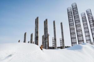 A collection of tall pillars, all covered in a thick layer of snow, stands majestically with a bright blue sky beautifully stretching out behind them, contrasting the wintery scene photo