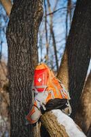 A backpack, equipped with a first aid kit that is securely attached to it, is currently hanging from a strong tree branch, likely located in a beautiful woodland area surrounded by nature photo