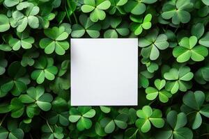 a Saint Patrick's day background with sprayed green clover leaves or shamrocks. photo