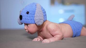 Little infant lying on his belly on the bed. Toddler just beginning to hold his head up. Small kid in a funny knitted hat with ears and diaper with tail. video