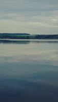 smooth surface of the river. Landscape of the river and forest with aerial view Vertical video