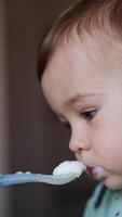One year old kid is fed from spoon. Portrait of a baby with adorable cheeks being fed indoors. Close up. Blurred backdrop. Vertical video
