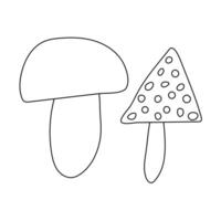 Simple black and white outline of two mushrooms, one plain and one spotted, perfect for coloring activities. vector