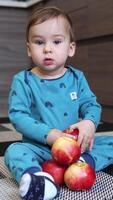Focused baby boy looking at the apples in front of him. Adorable toddler sitting on the floor indoors with a pile of red fruit. Kid pulls one apple to his mouth and takes a bite. Vertical video